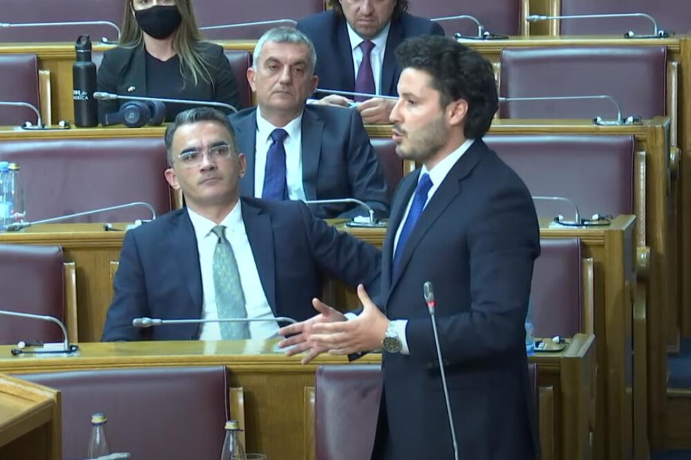 Vladimir Leposavić i Dritan Abazović