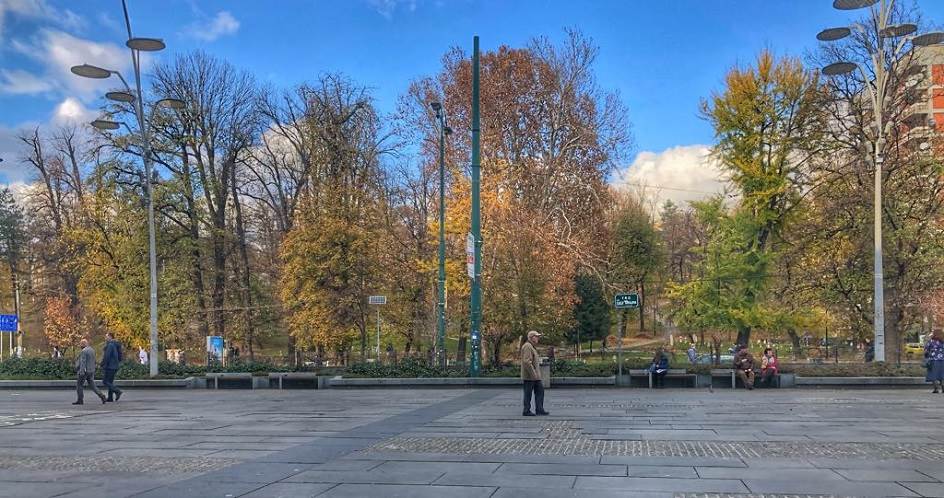 53682533_786120201757916_293822728513781760_n