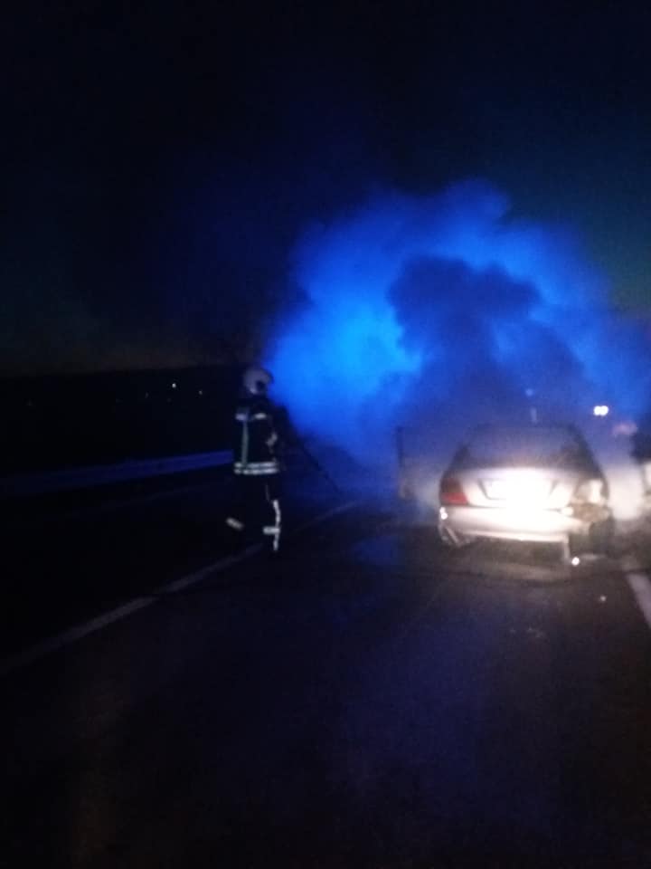 55790112_2336741313074796_8834095790491172864_n