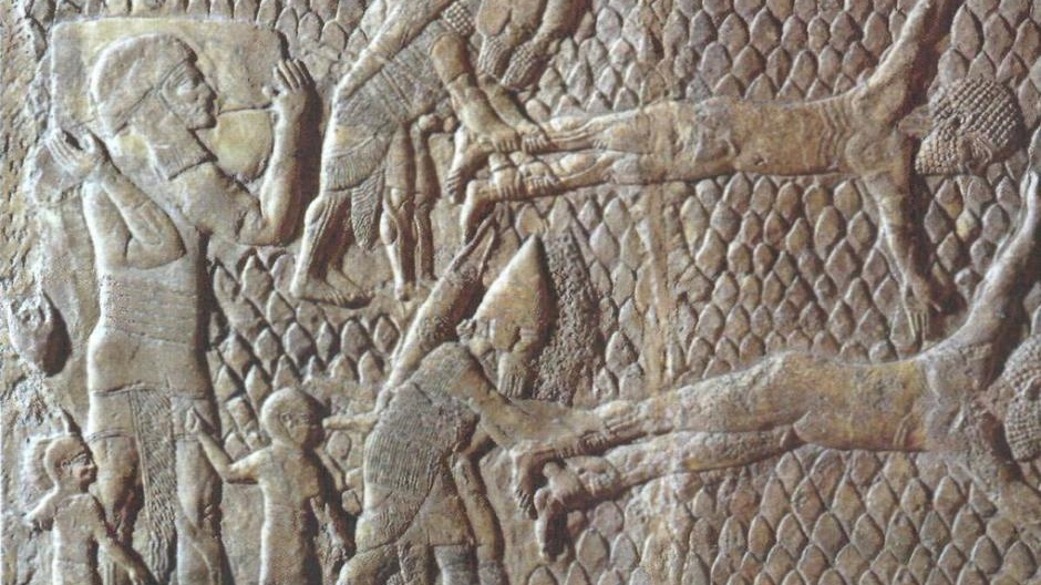 55abb05f72508dc48a80