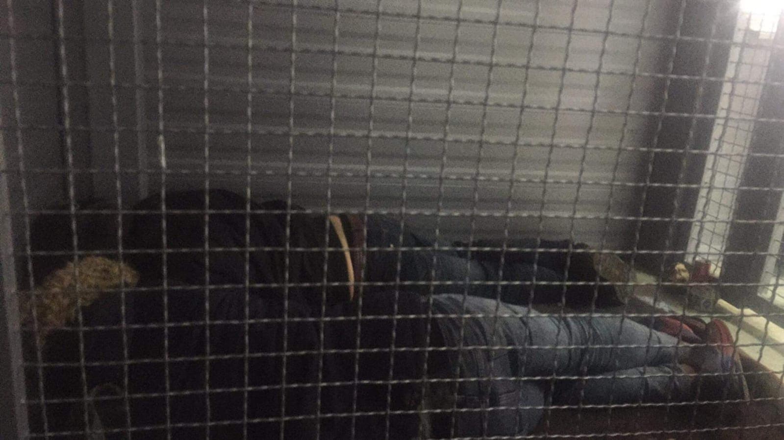 57540171_1658850917593034_622981192353841152_n