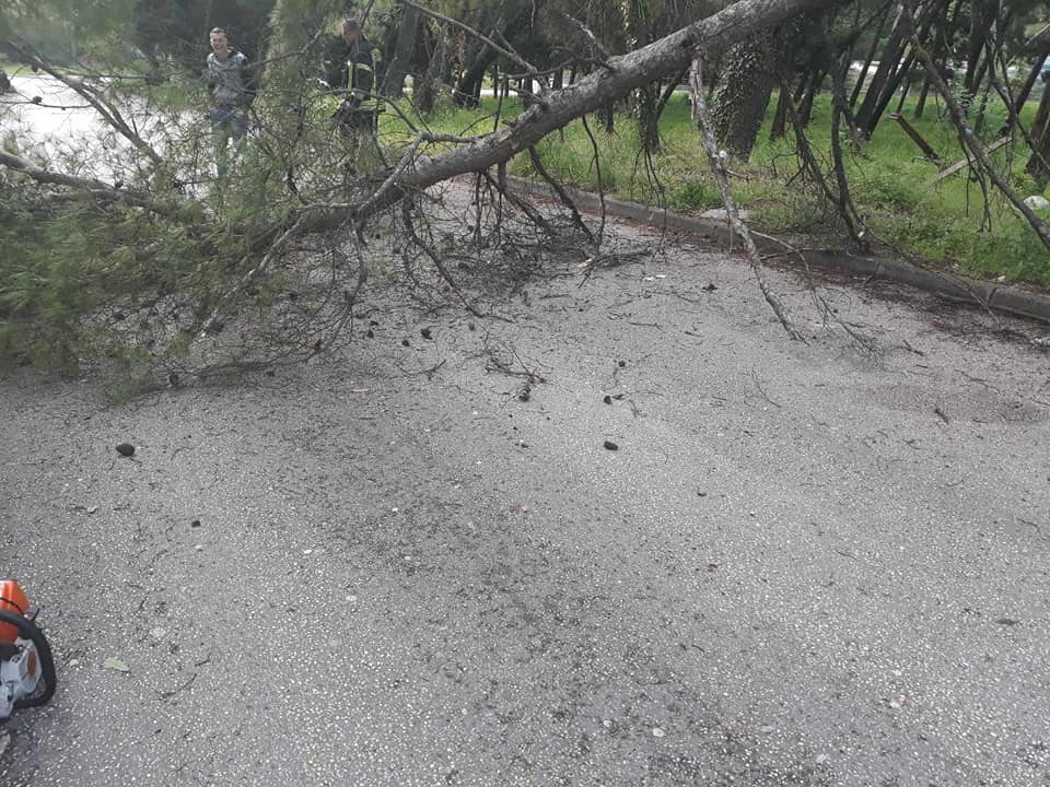 60343606_2419578591457734_7606738937821790208_n