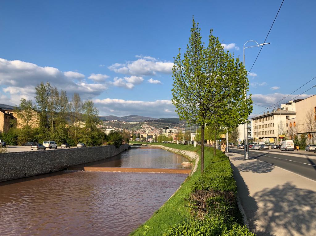 66051165_343816969839017_1949167986988285952_n