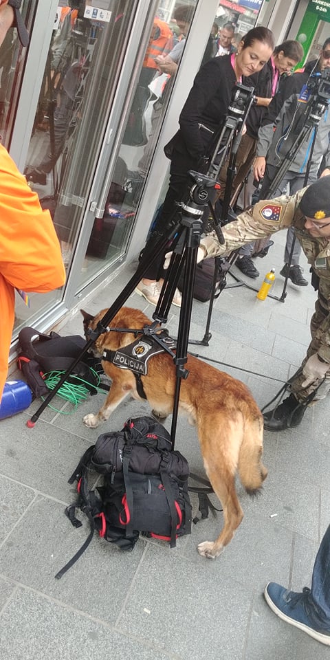 69878674_489185711636932_8598404400651698176_n