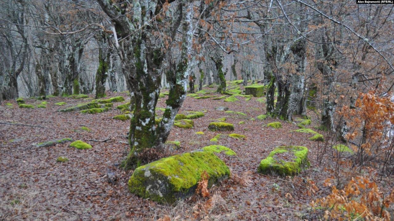 6D777DAB-31D6-477F-BB7D-B3C636B5206D_cx0_cy3_cw0_w1597_n_r1_st