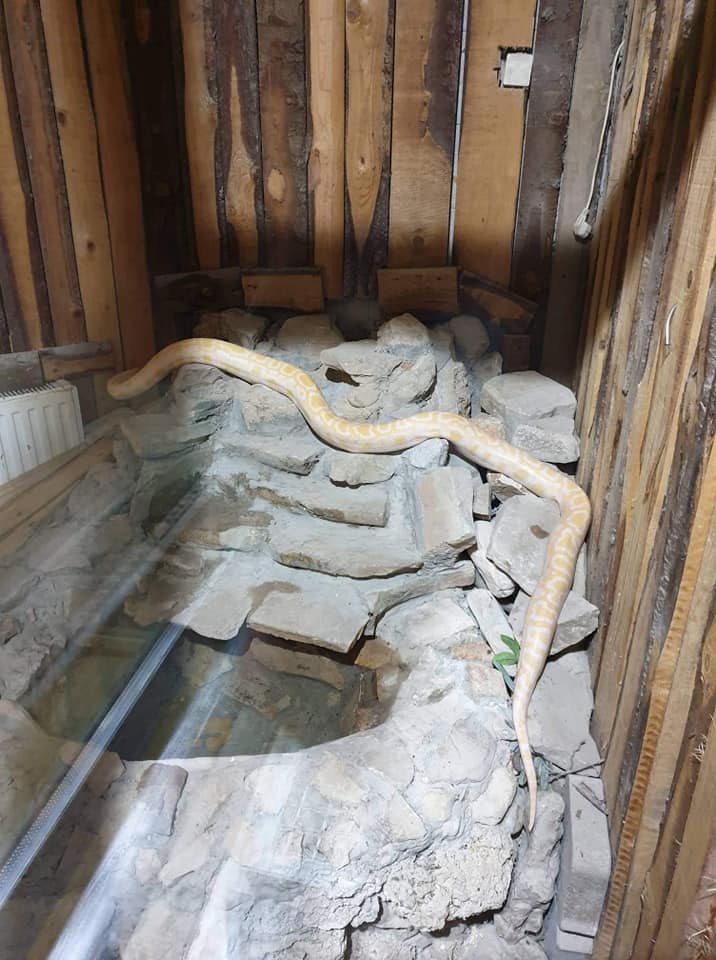 72242521_3168386386566690_9111654766345191424_n