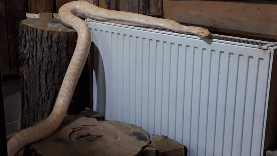 72488065_3168385759900086_3123271845097242624_n