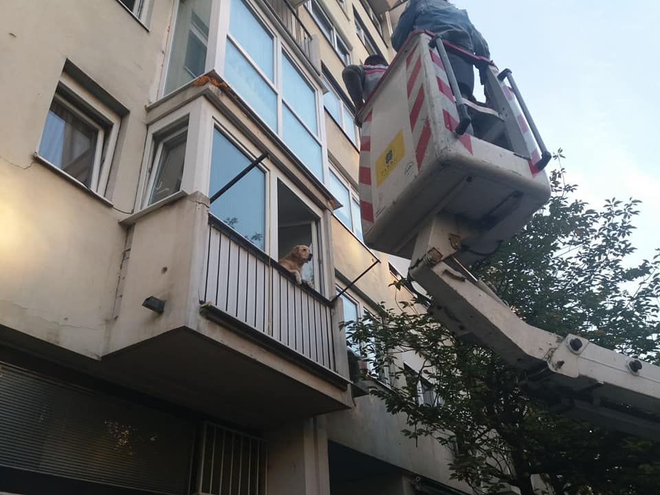 72638934_3211197802285548_1746049719315988480_n