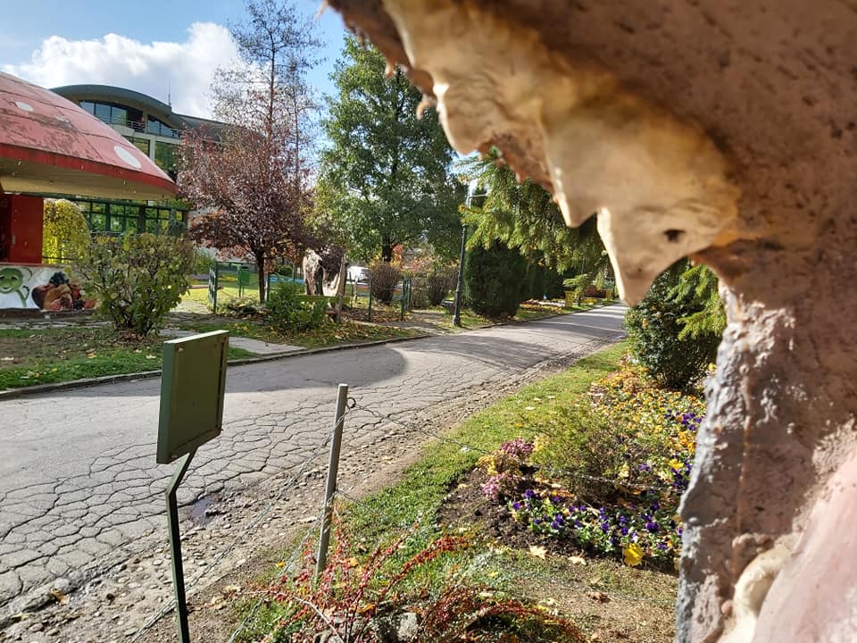 73180609_3232019163536745_4276374949511299072_n