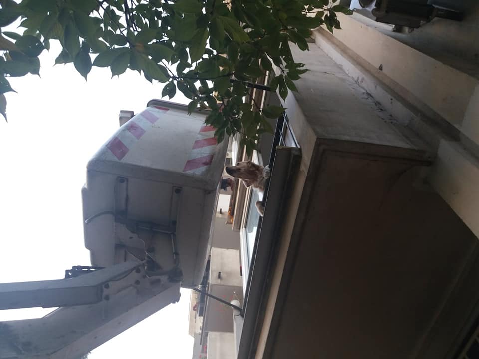 73322210_3211197942285534_6416794231007870976_n