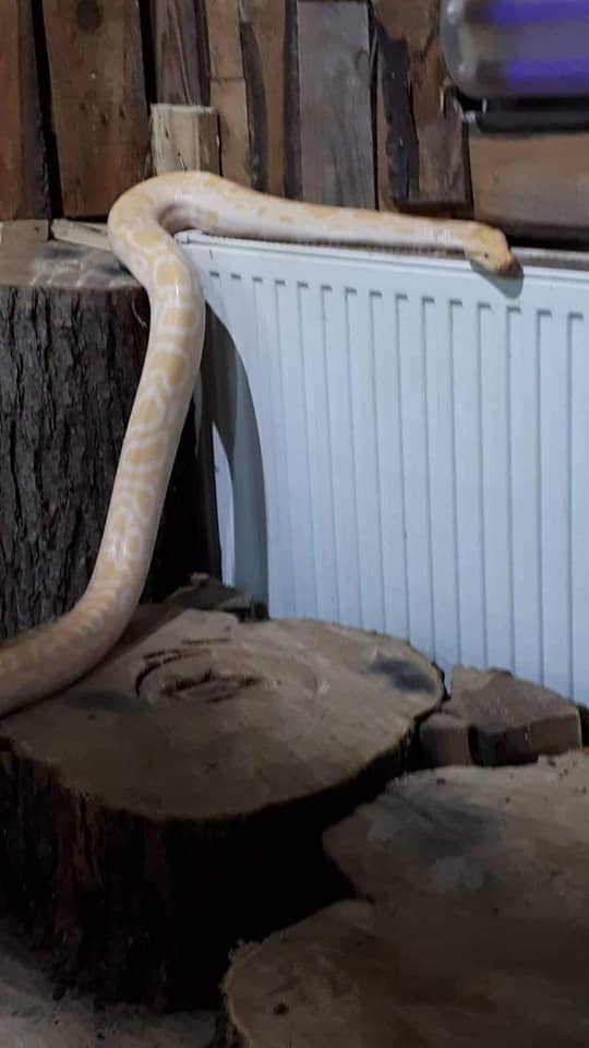 73381206_3168386016566727_5280865979256012800_n