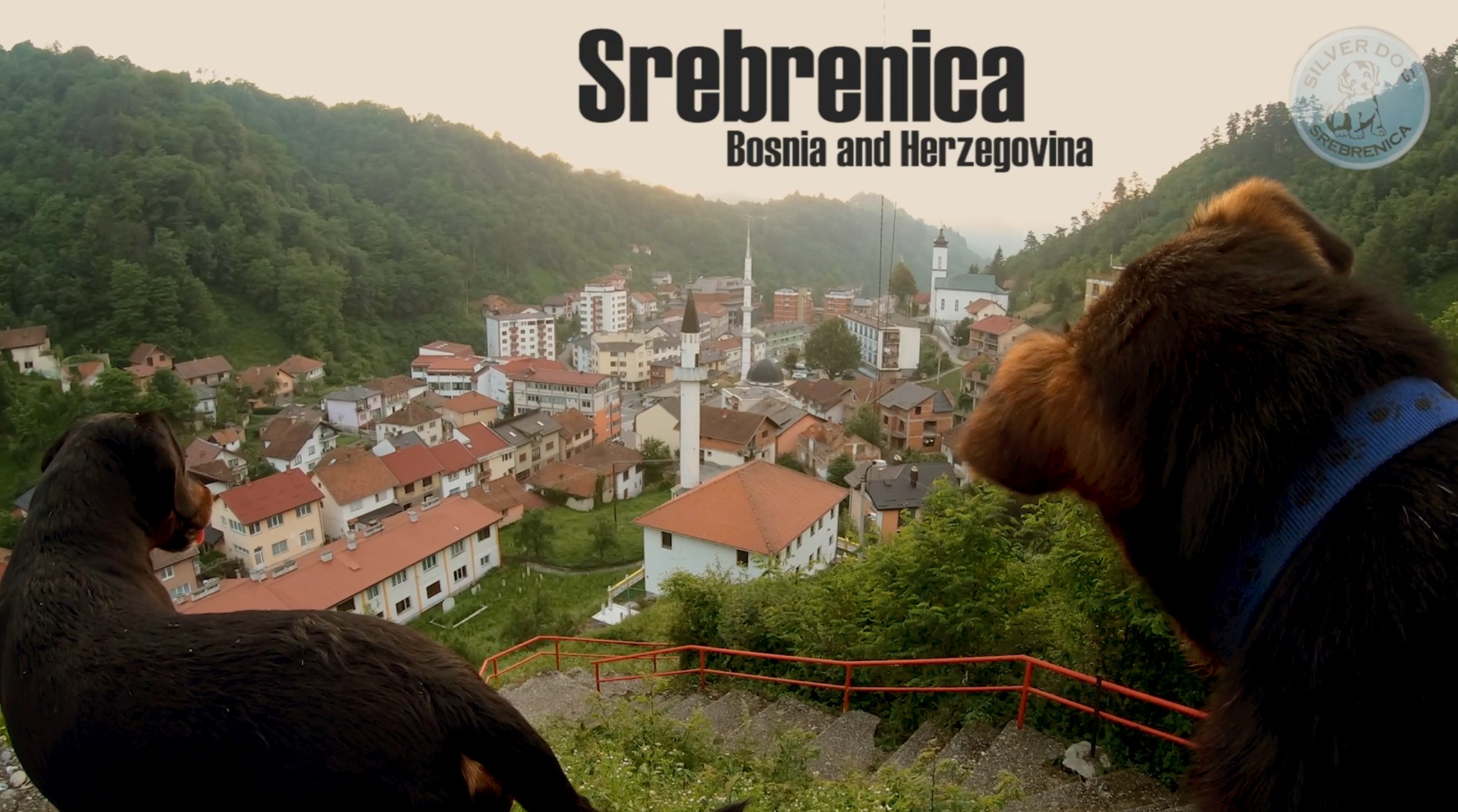 74647532_689035861917917_3971419670061252608_o