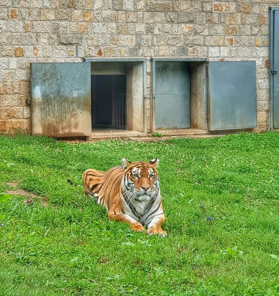 74990782_3232018263536835_4739329749225046016_n