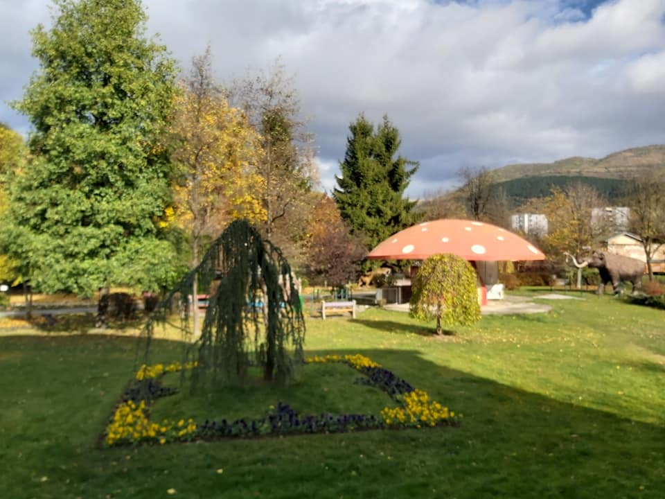 75204423_3232018130203515_8037830586347290624_n