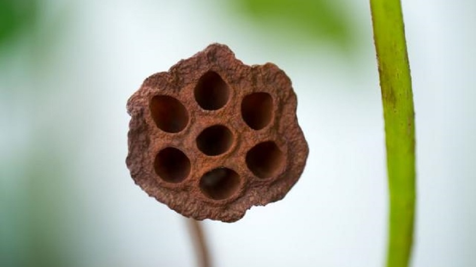 77889022459b7b32888dfe582584329_v4_big