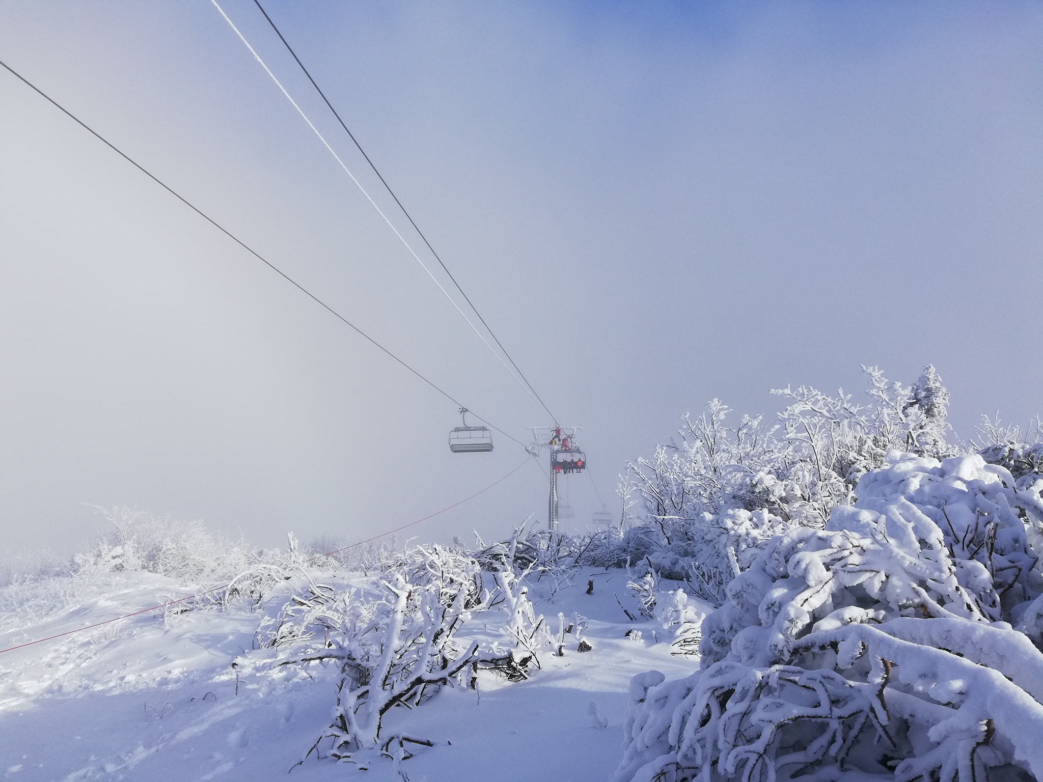 Facebook/ GSS Sarajevo