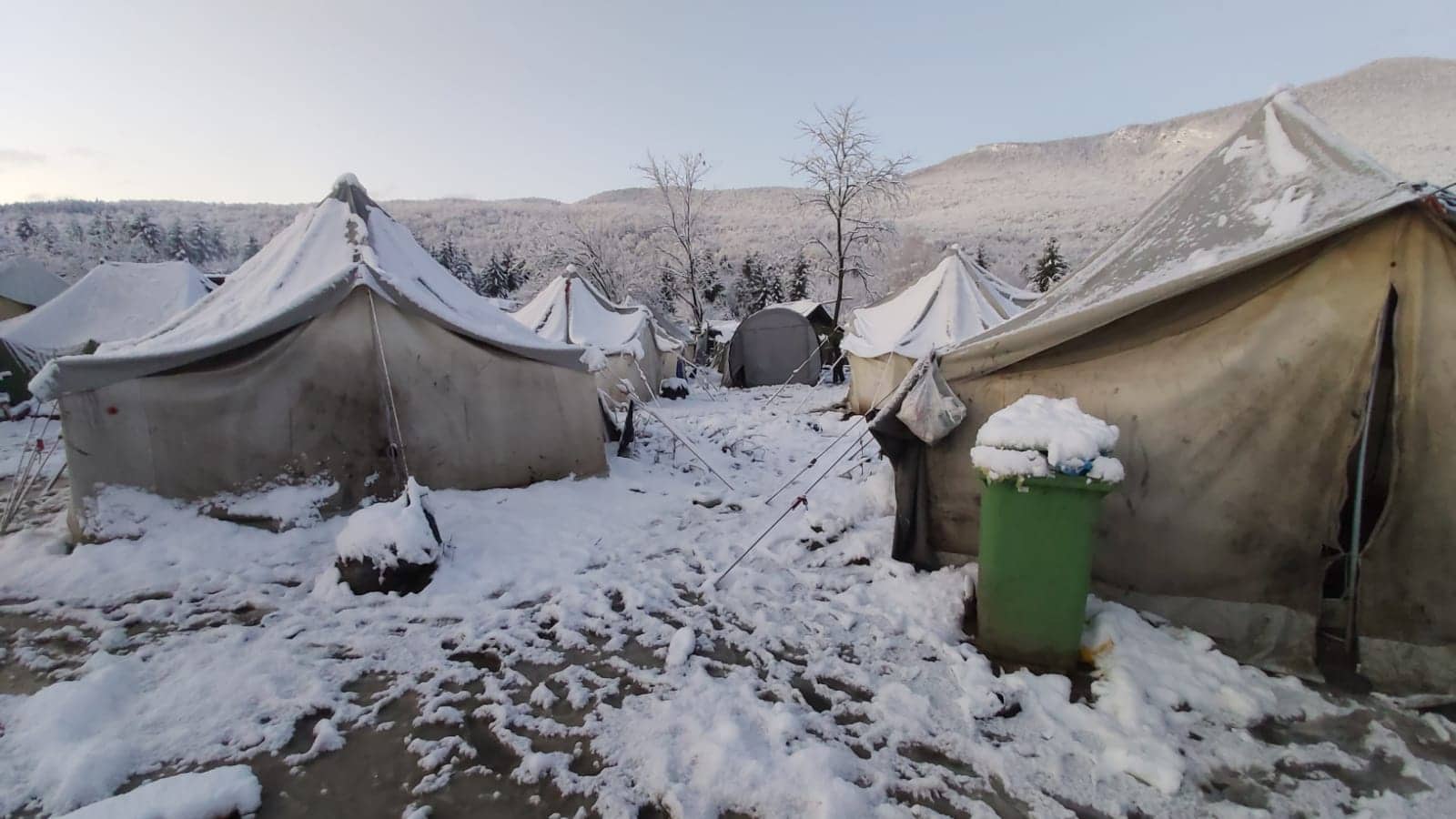 79523096_2501429123519656_4269333646982250496_n