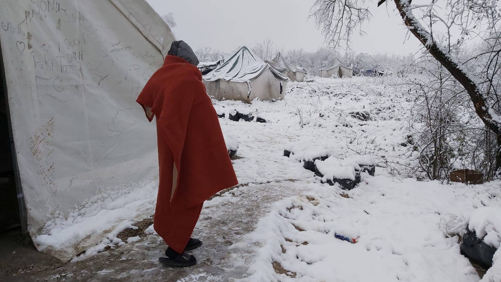 79638832_508024799792354_2727777478226477056_n