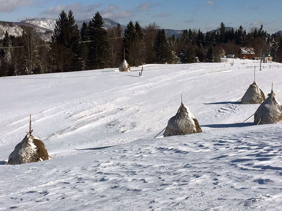 84646657_2443037992693363_519892317868392448_n