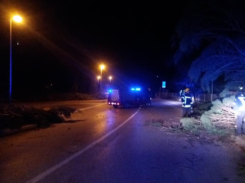 85060807_2978302582251996_5064731989286846464_n