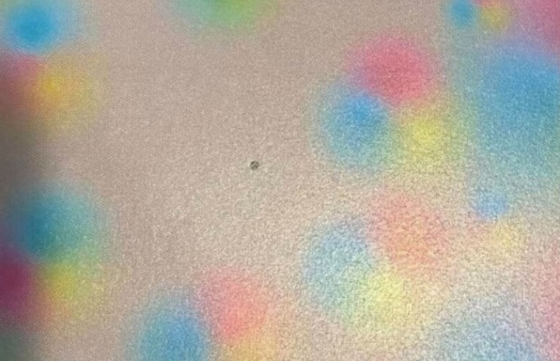 869af8f868b46e8c573a552161c69591