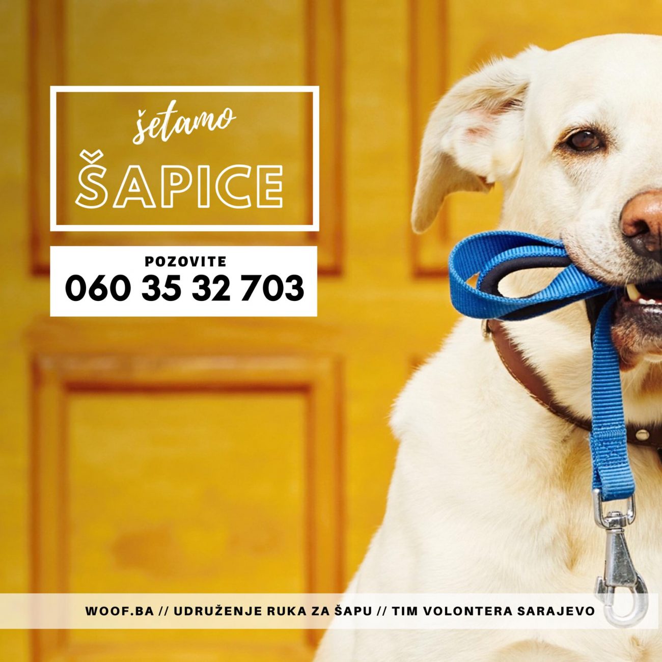 91233555_859847594488790_8871235128613928960_n-1300x1300