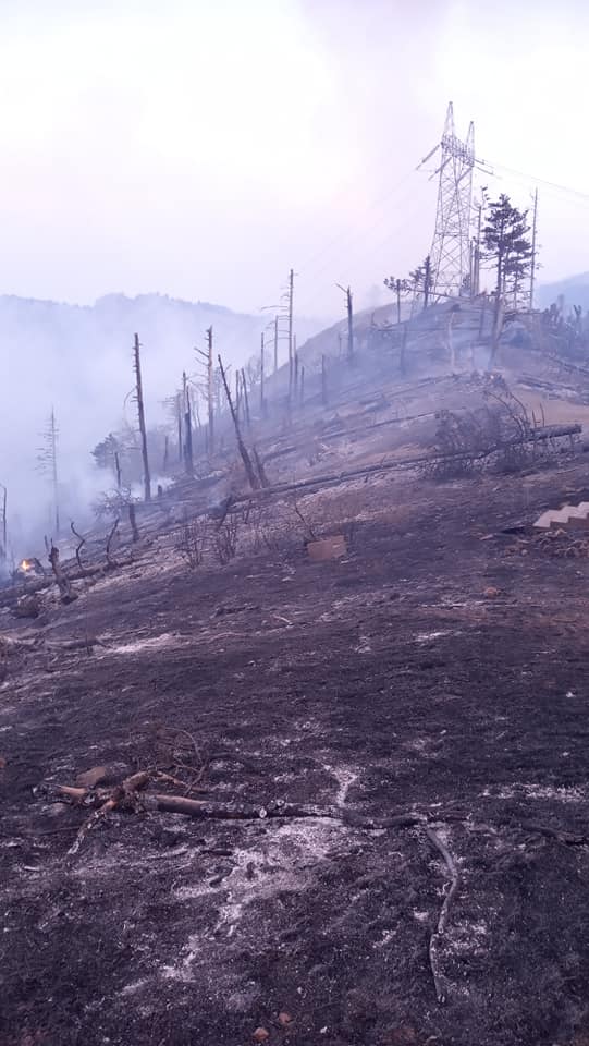 93255985_3441254812555480_6331423209014951936_n