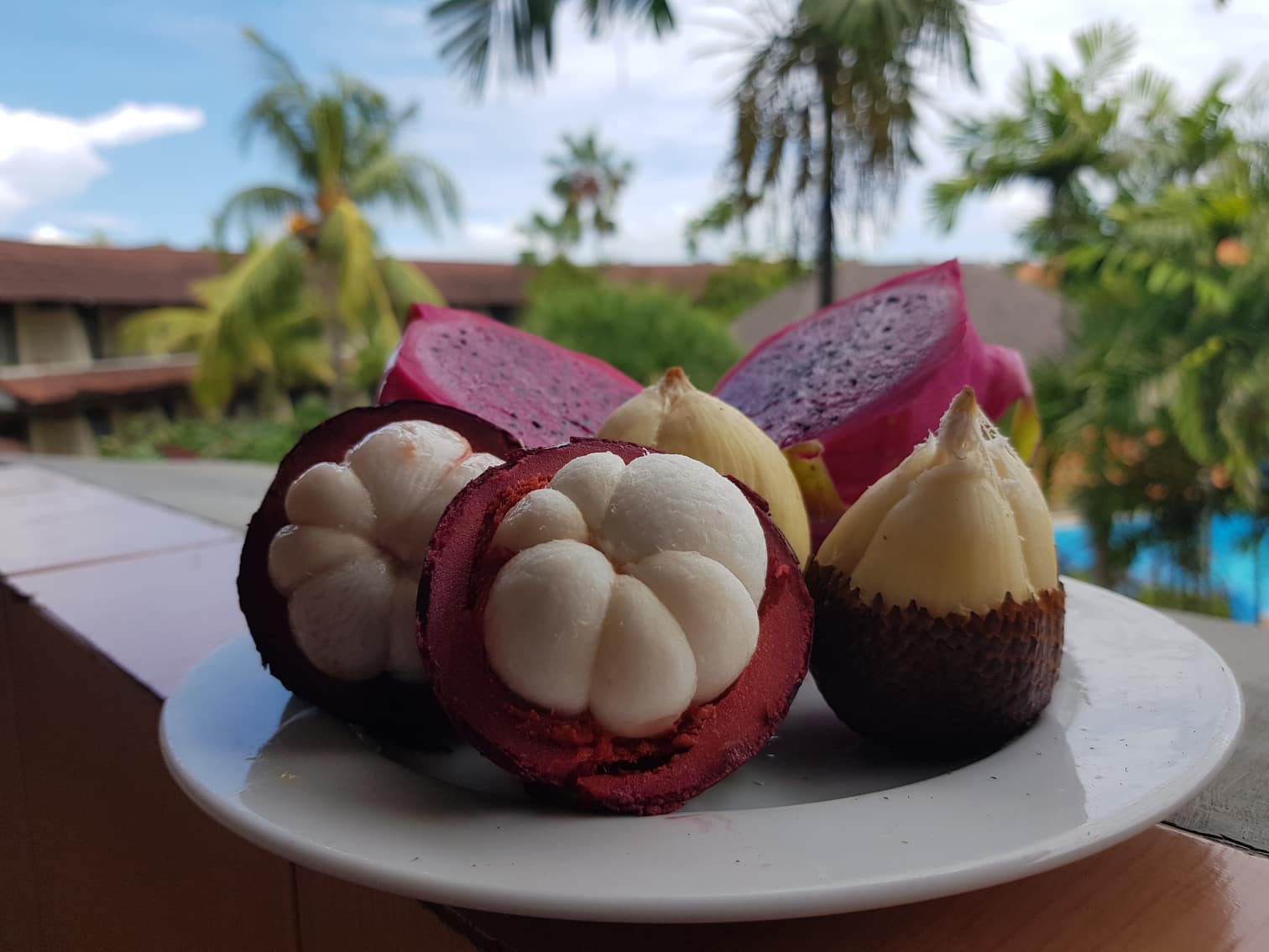 93273962_536581793935408_9169617772366266368_n