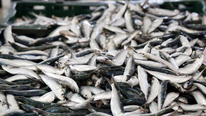 94278715b1408b0aede5c33f8f39b39c