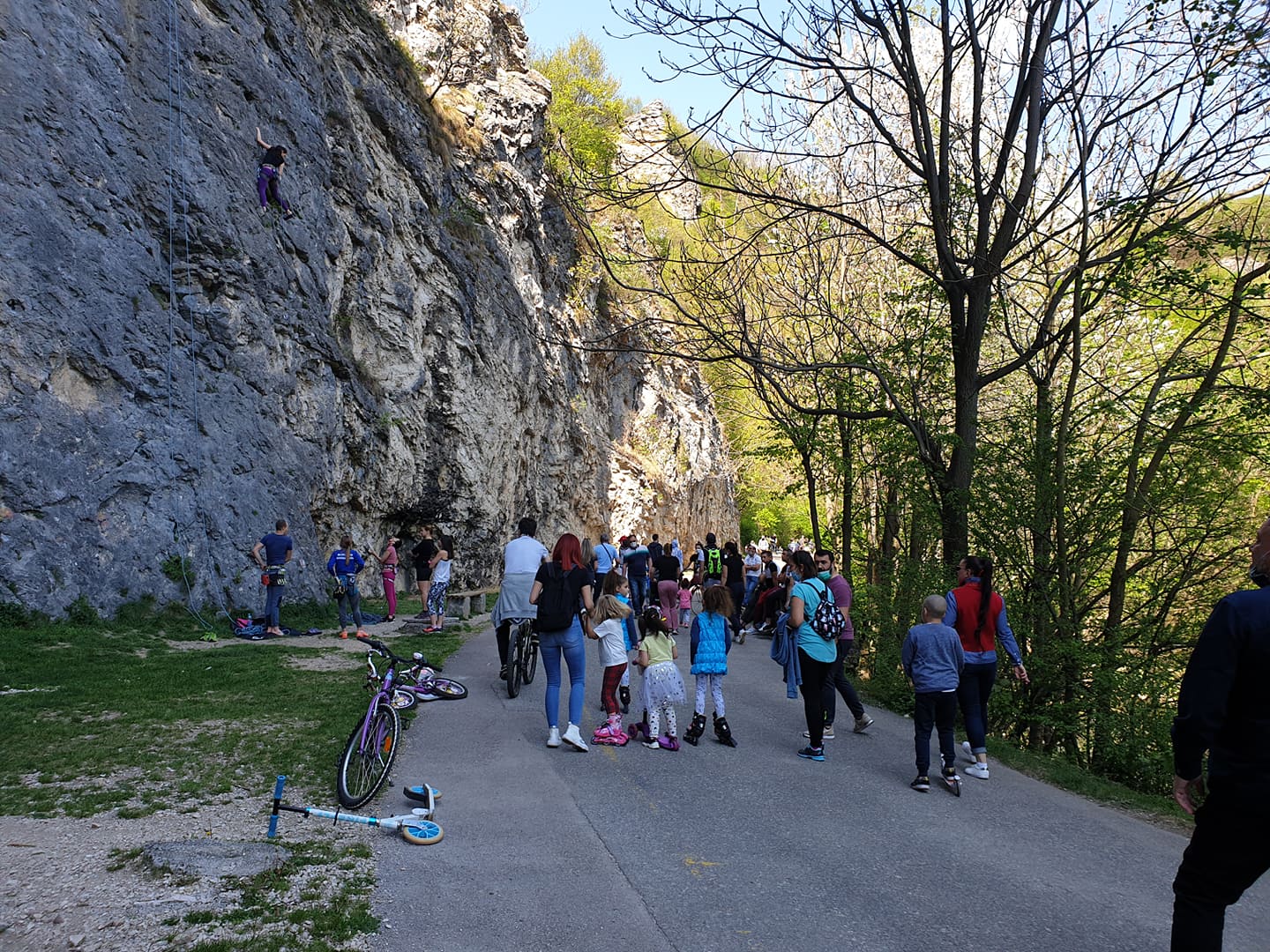 95048459_223624578923082_5723192605097852928_n