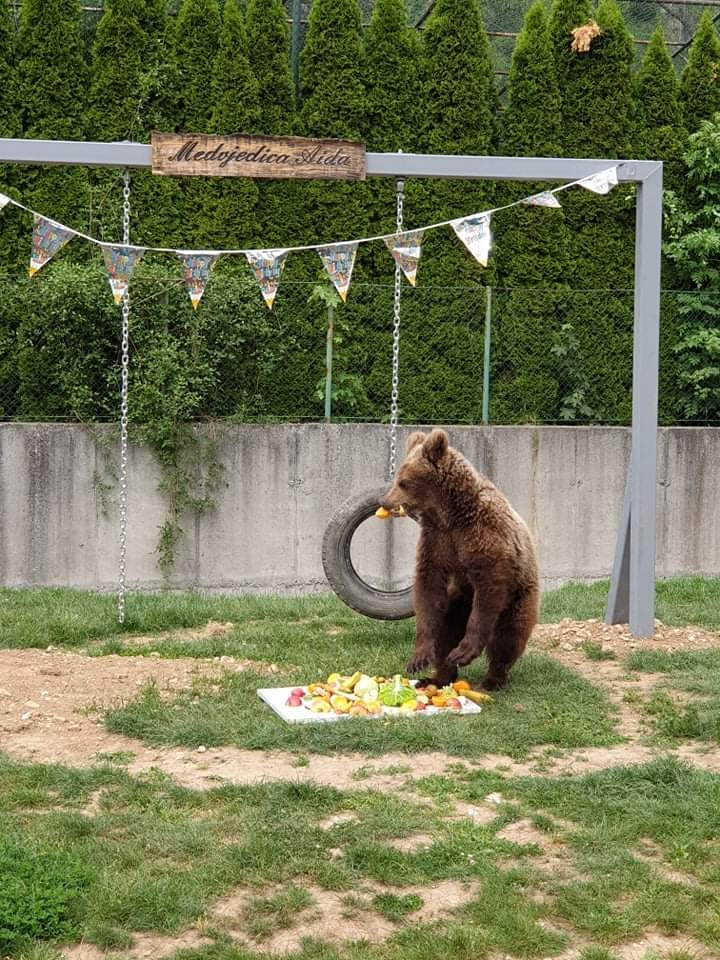 96878854_3870233133048675_7257262143345524736_n