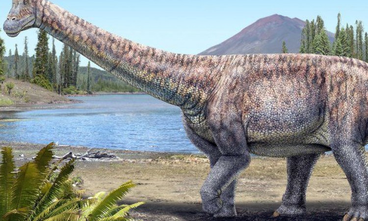 U Čileu otkrivena nova vrsta dinosaurusa