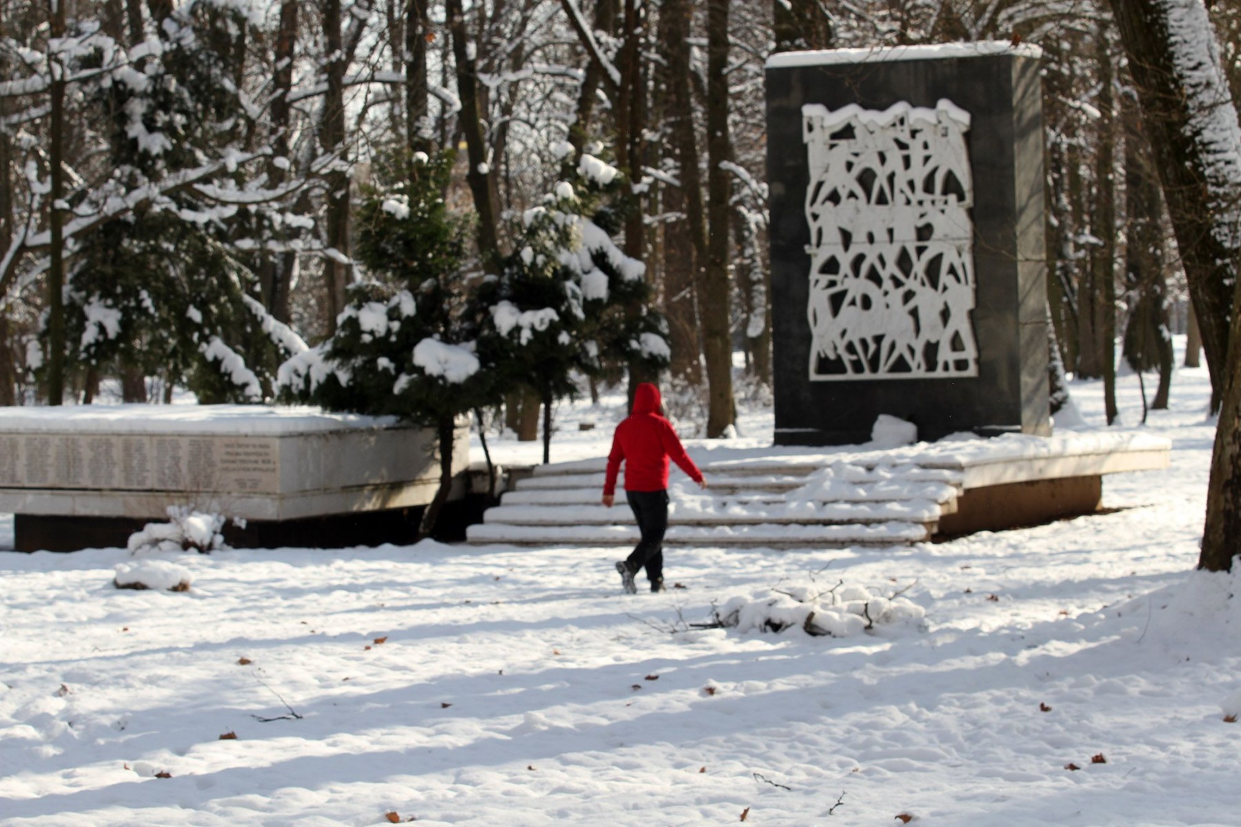 FENA/Alma Pašić Delić