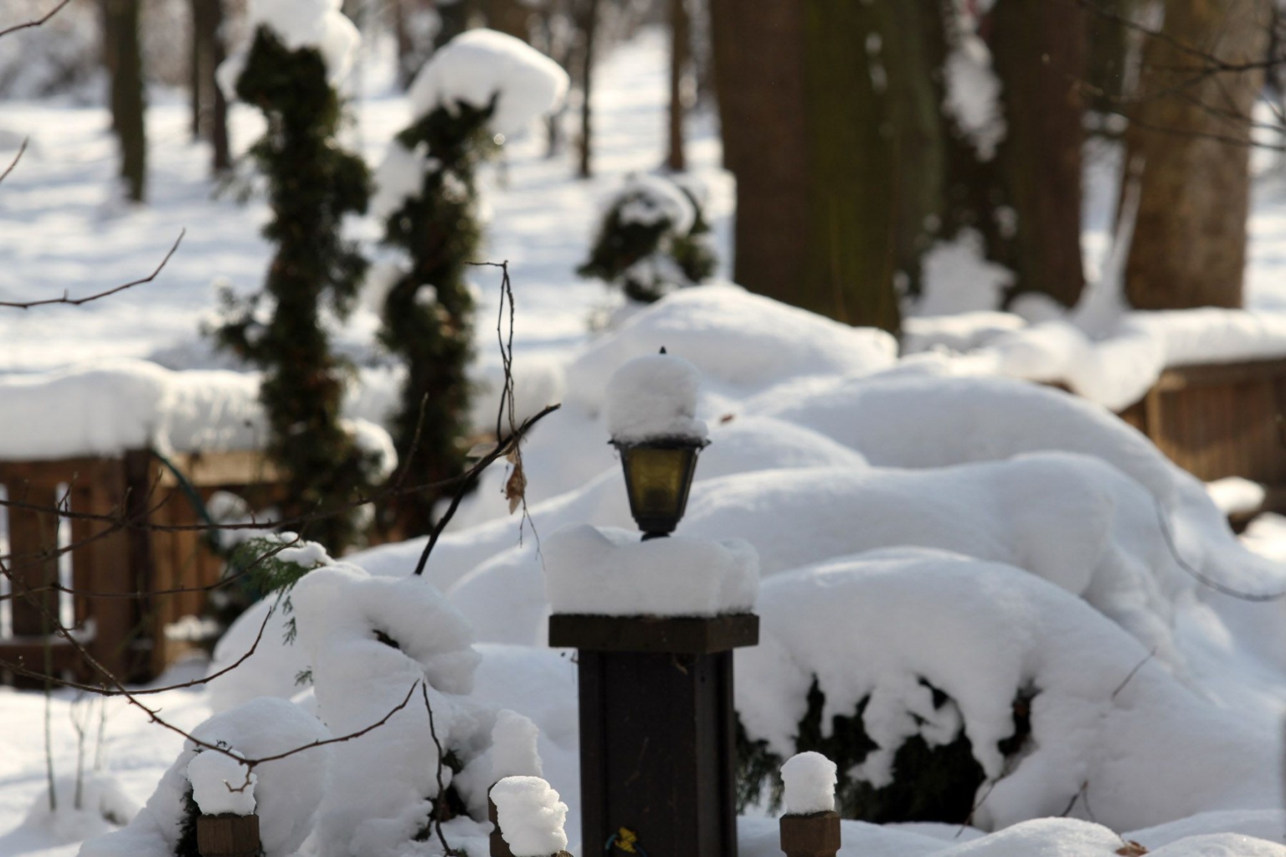 FENA/Alma Pašić Delić
