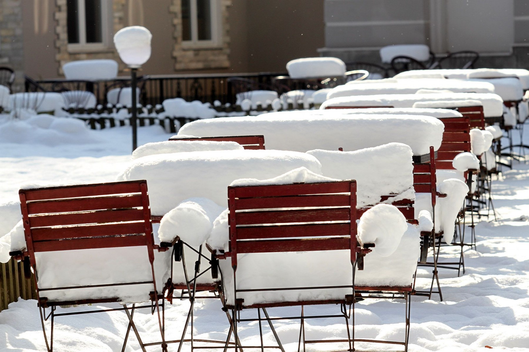 FENA/Alma Pašić Delić