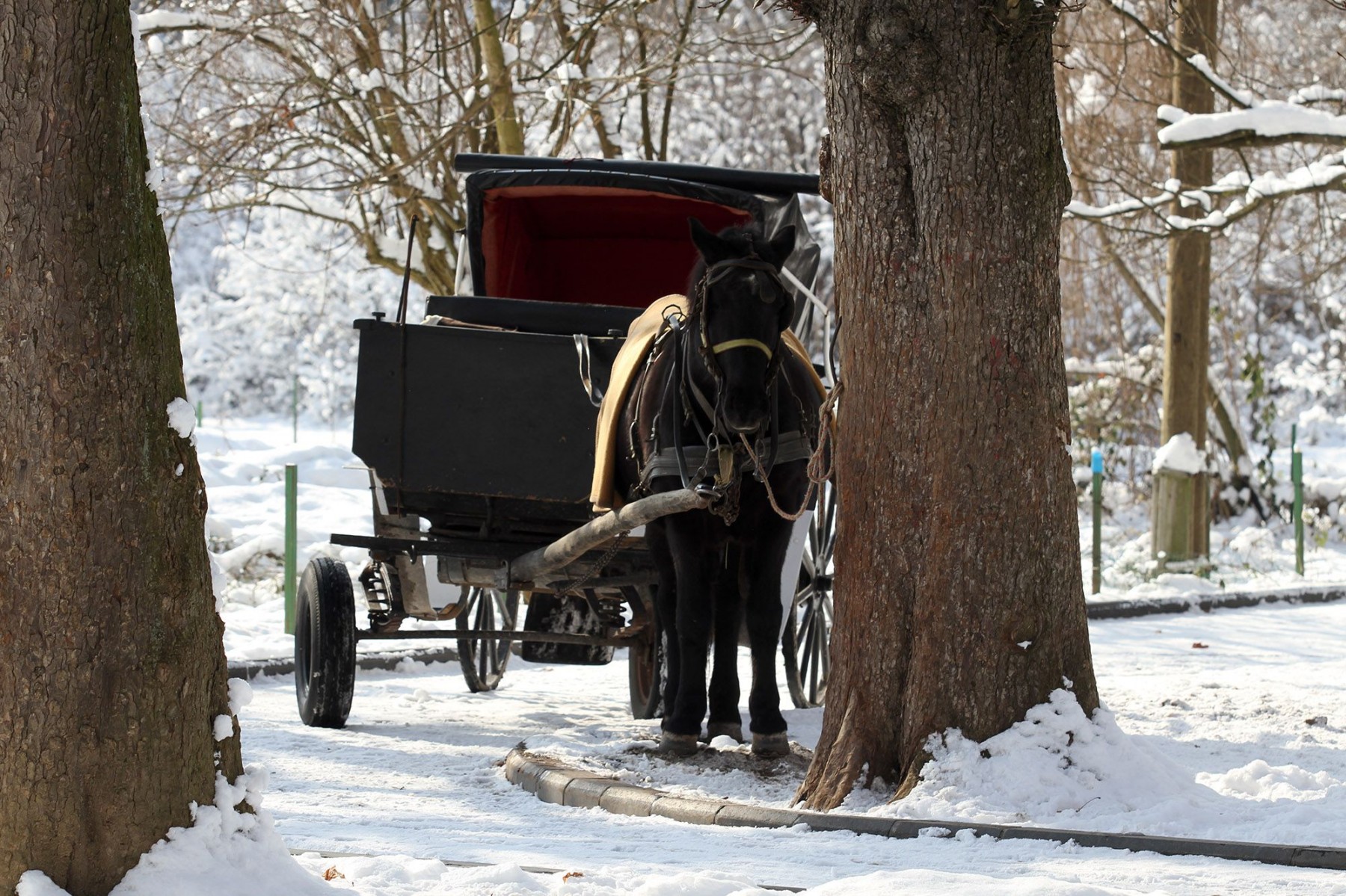 FENA/Alma Pašić Delić