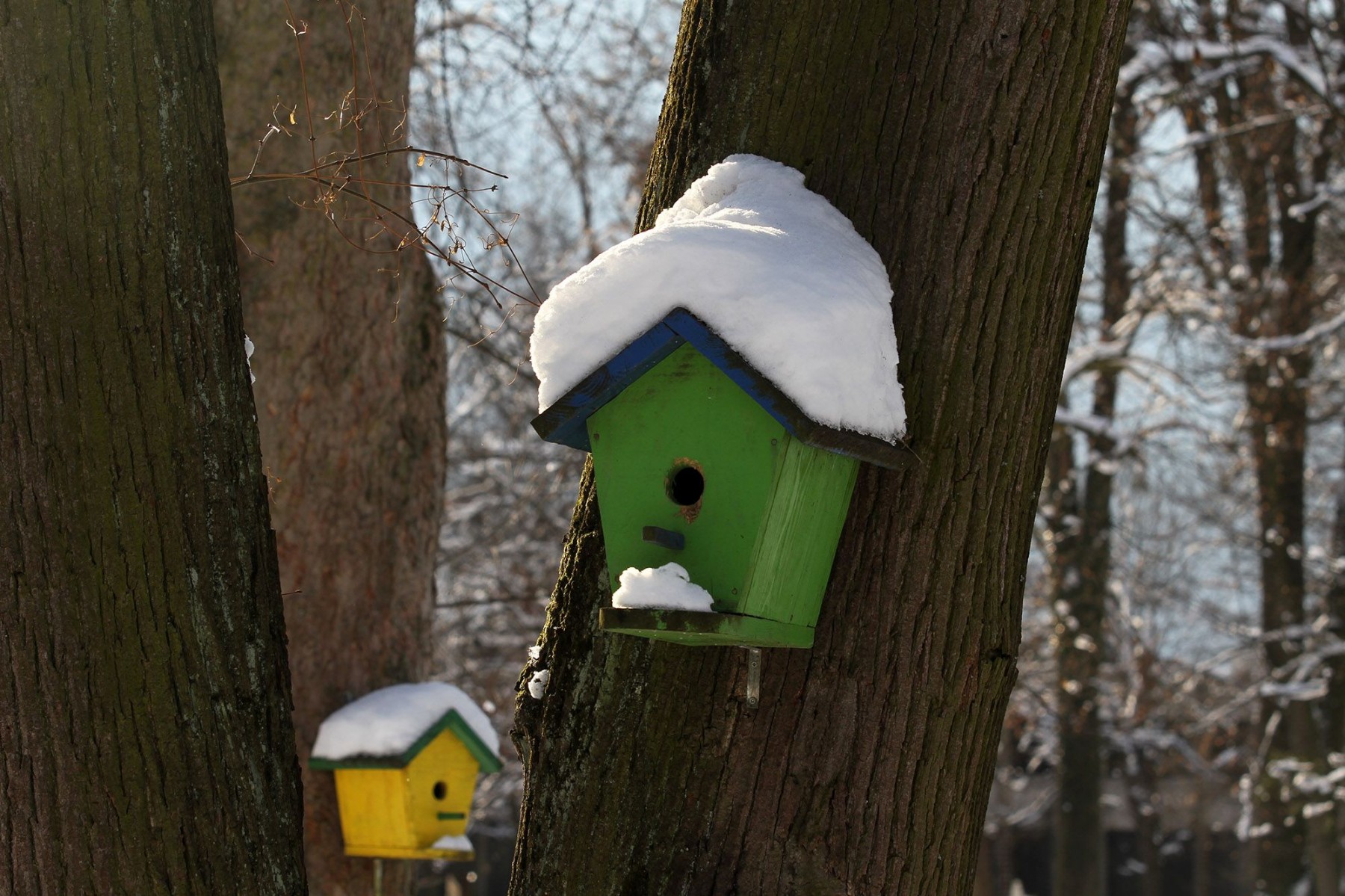 FENA/Alma Pašić Delić