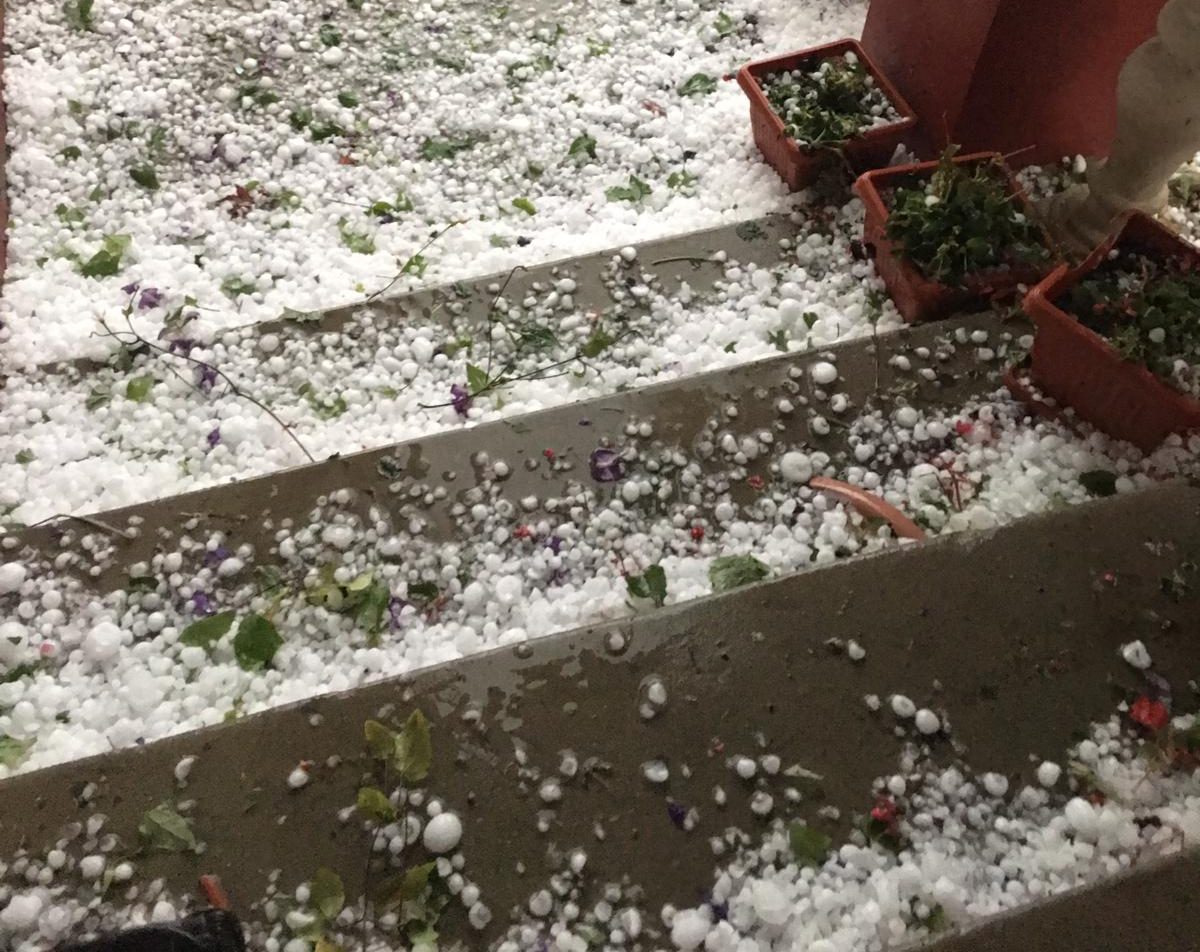 IMG-20210625-WA0020-e1624647007209