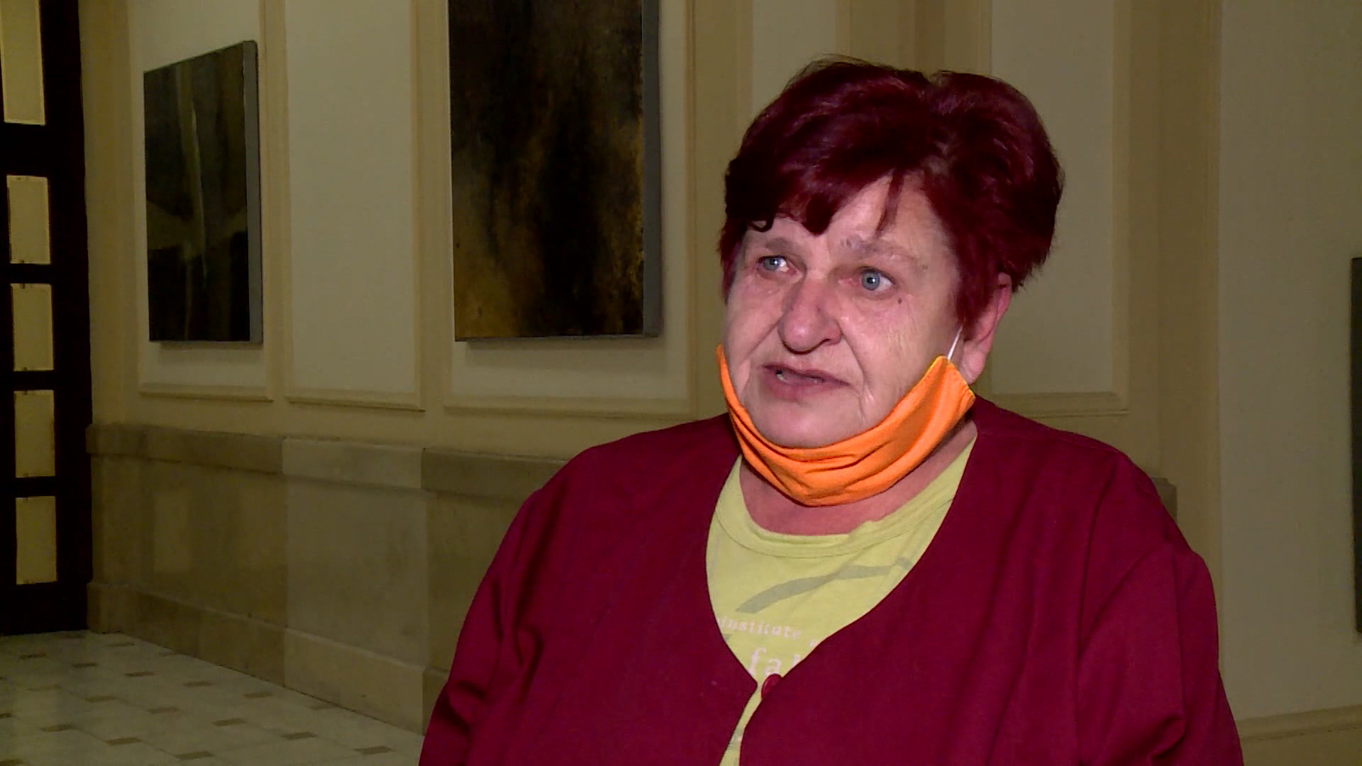 čistačica stanivuković