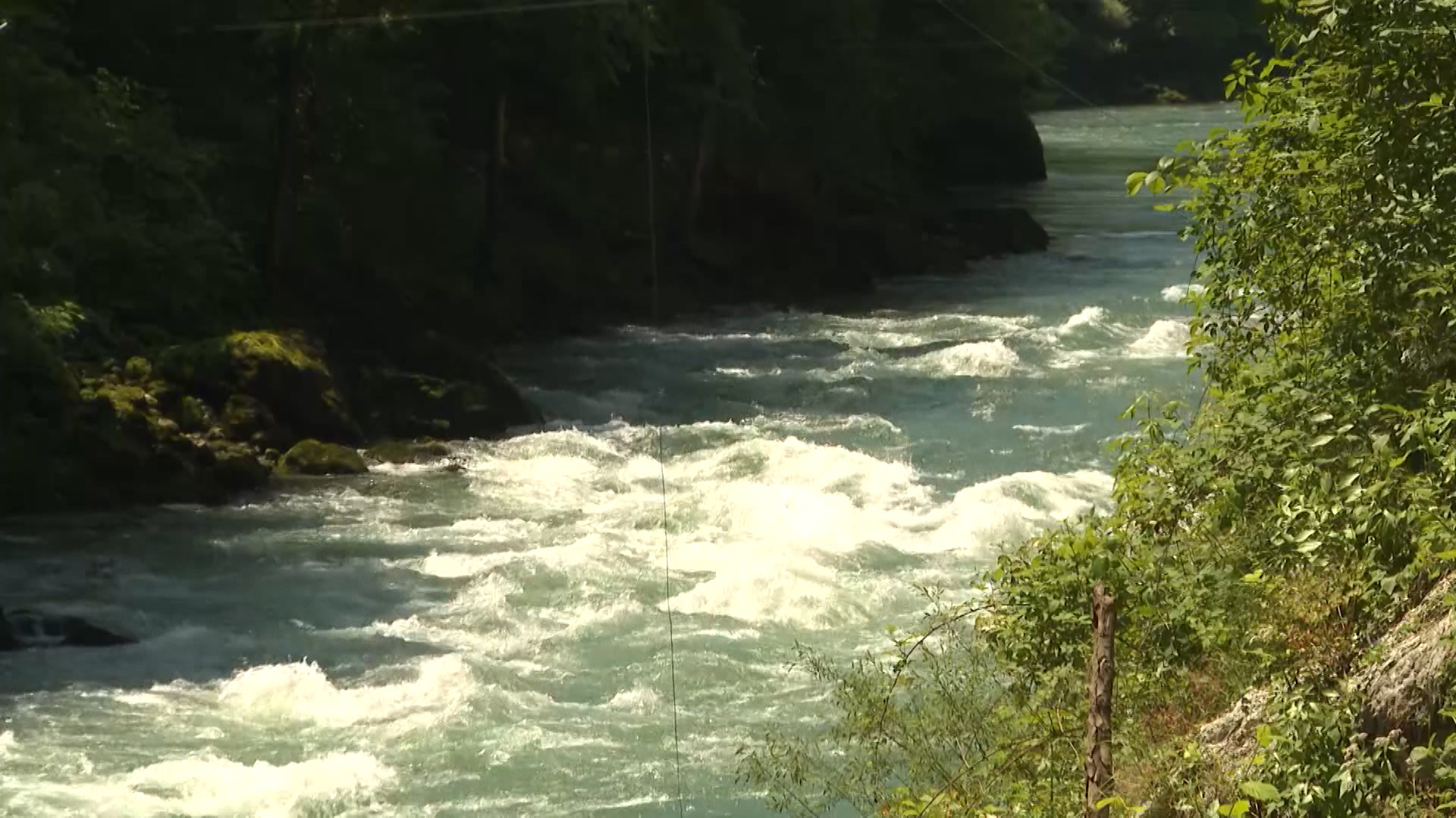 SA-KAJAK PKG-ANM-1(20210603-183241779).mxf.Still002