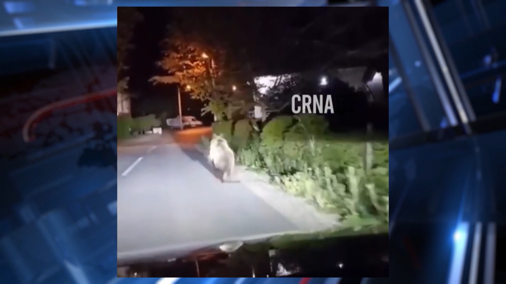 SA-MEDVJED PKG-ANM-1(20210506-164106468).mxf.00_03_25_17.Still001