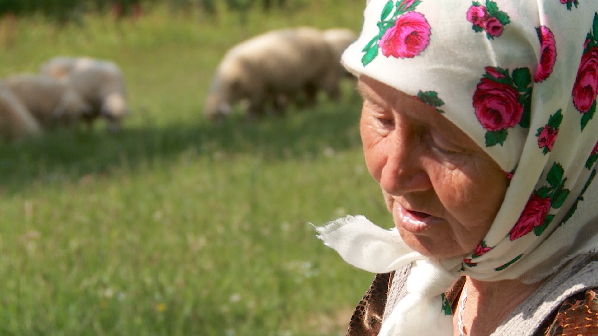 SA-PKG SREBRENICA-SEM-2(20210607-190438093).mxf.00_00_20_07.Still001