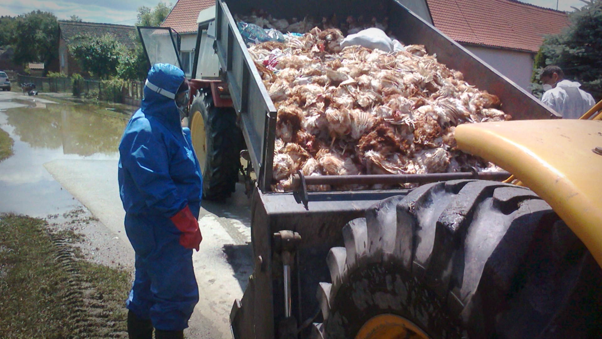 SA-SARIC PKG-SEM-1(20210612-175044505).mxf.00_00_32_11.Still001