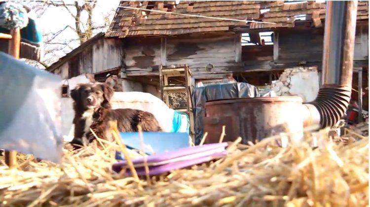 zemljotres, hrvatska