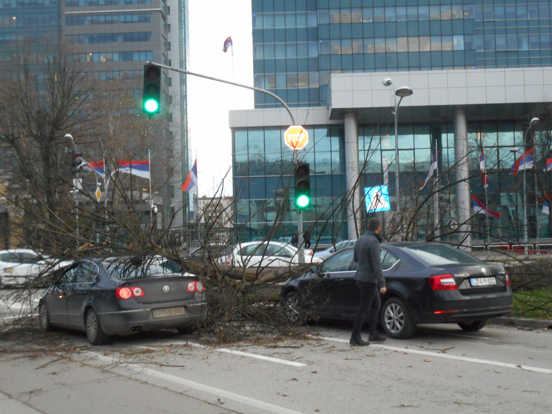 Бањалука - стабло пало на два возил