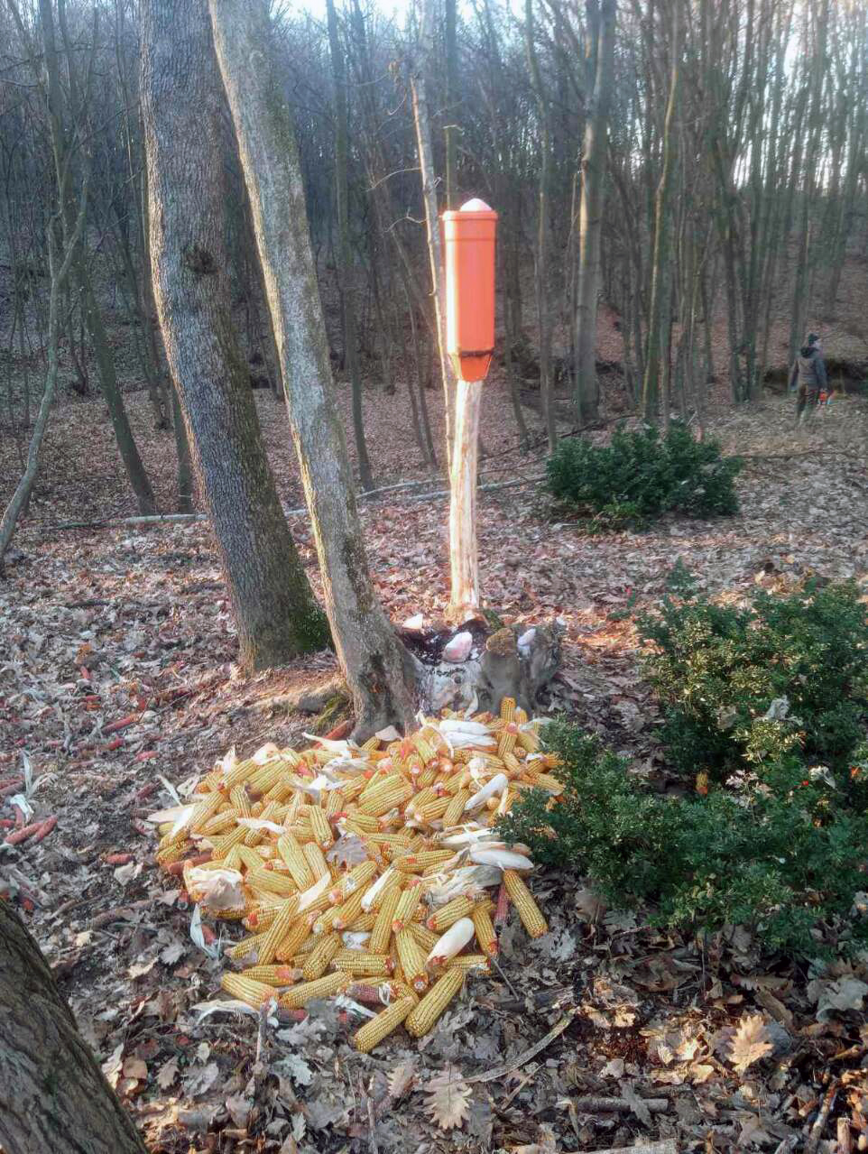 Бијељина -  солило