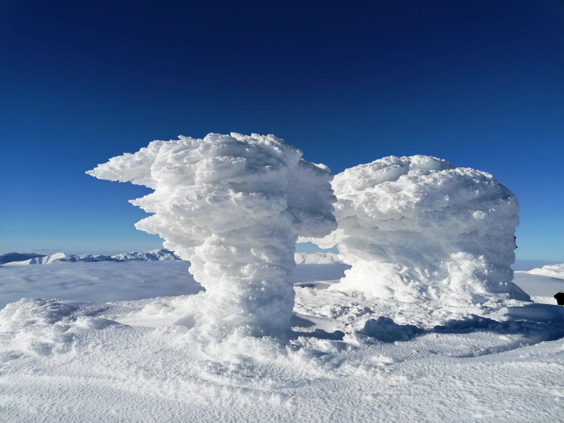 Foto:Edin i Irijan Durmo