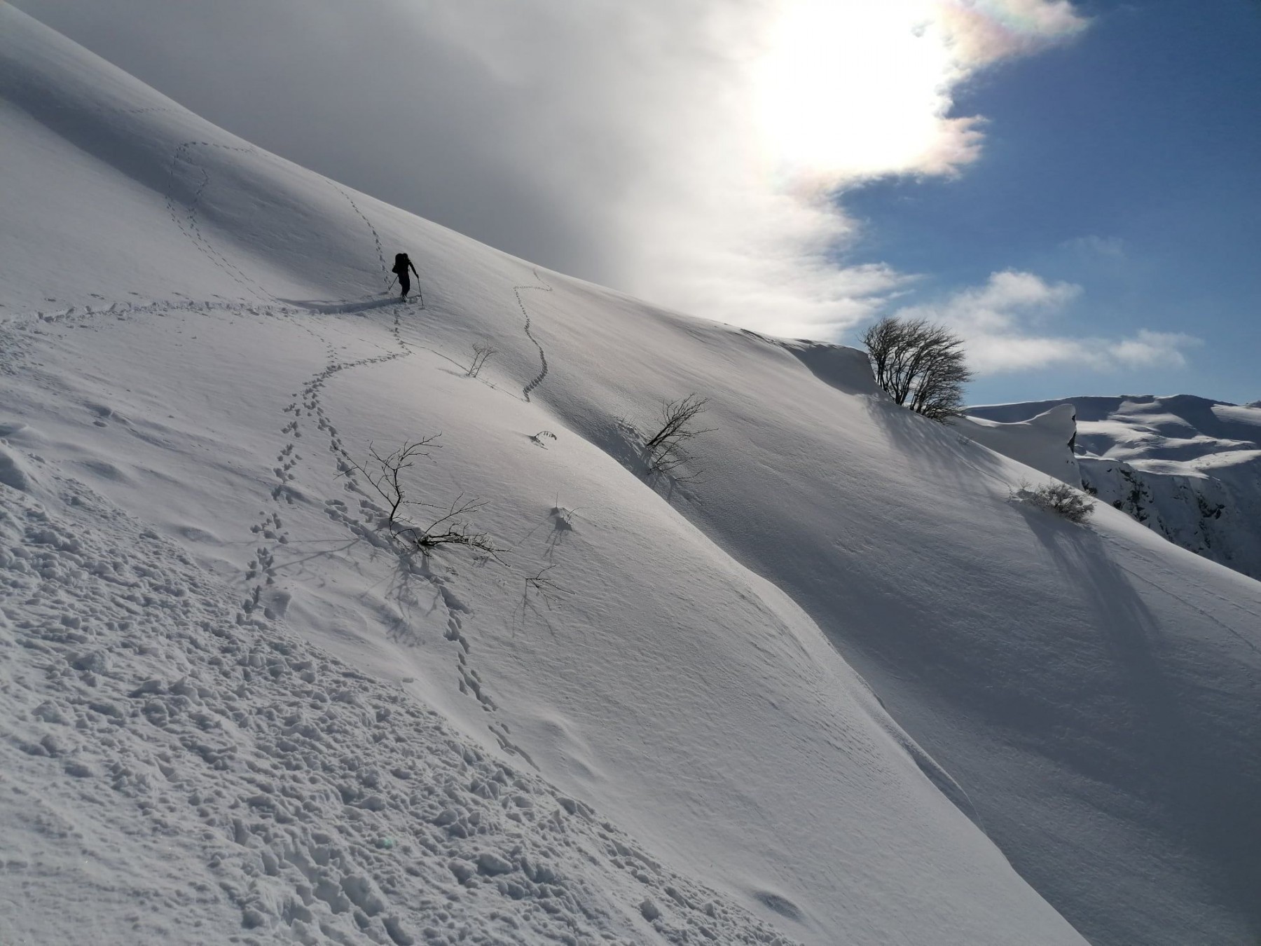 Foto:Edin i Irijan Durmo