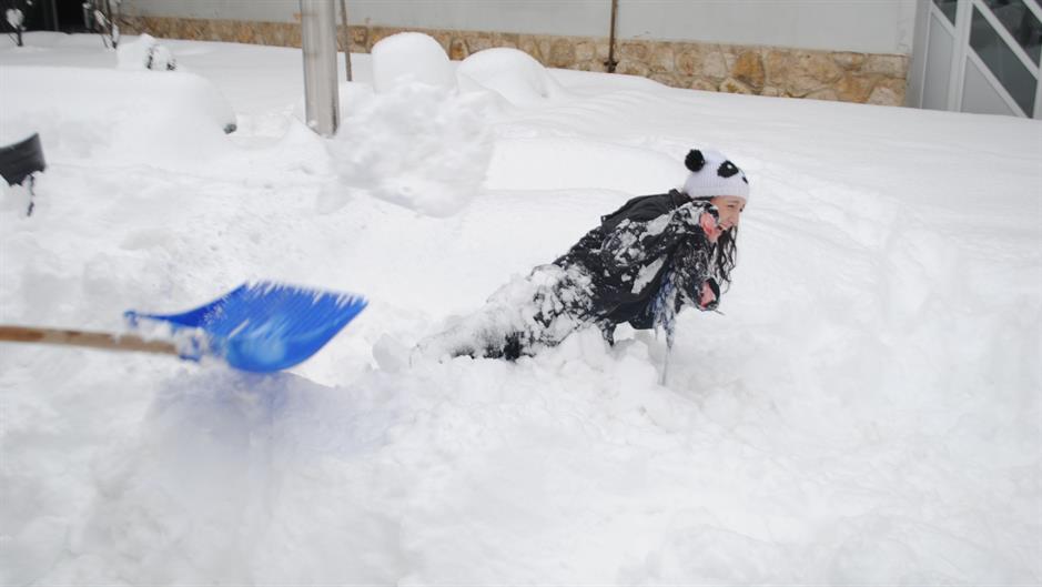 aa_picture_20150209_4496591_high