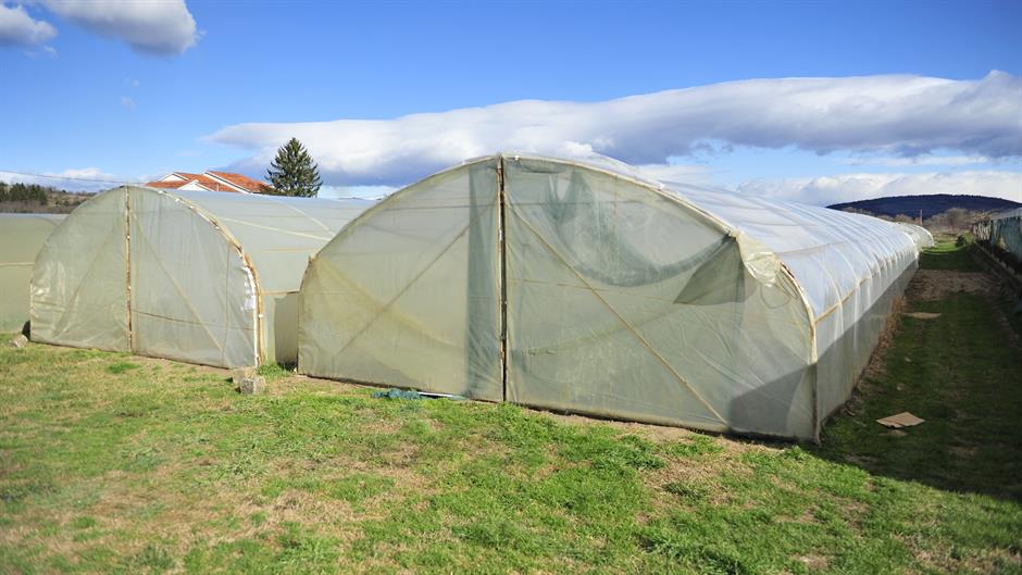 aa_picture_20150211_4513538_high